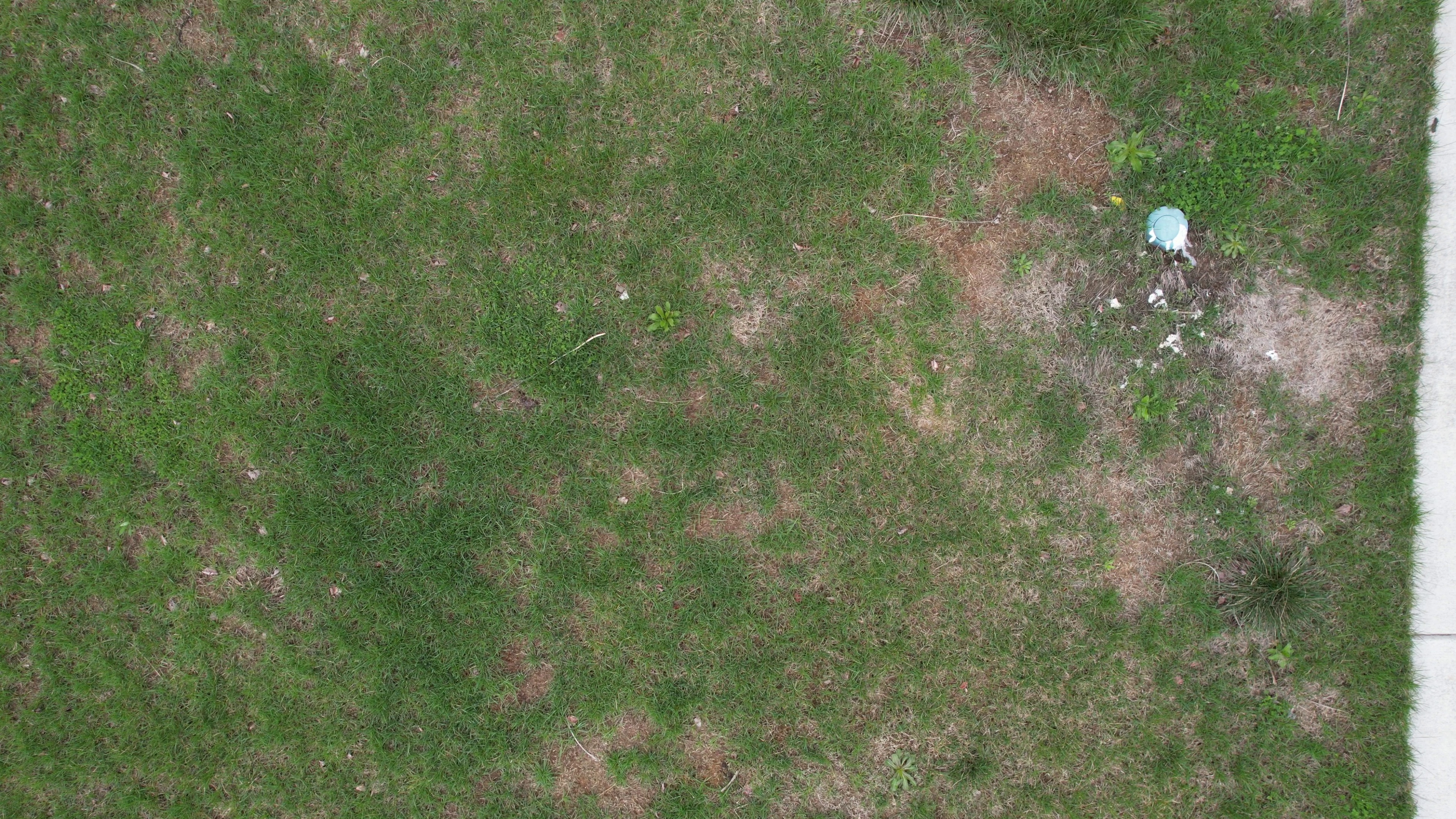 Annotated Image
